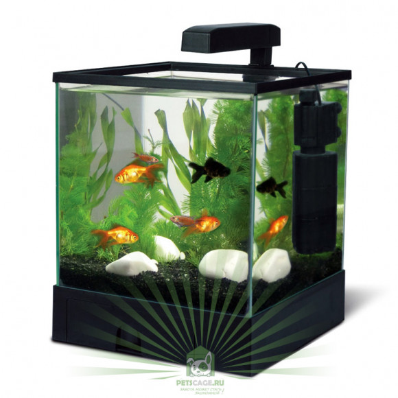 Аквариум 2727AA Aqua Box 17 л Аквариум 2727AA Aqua Box 17 л