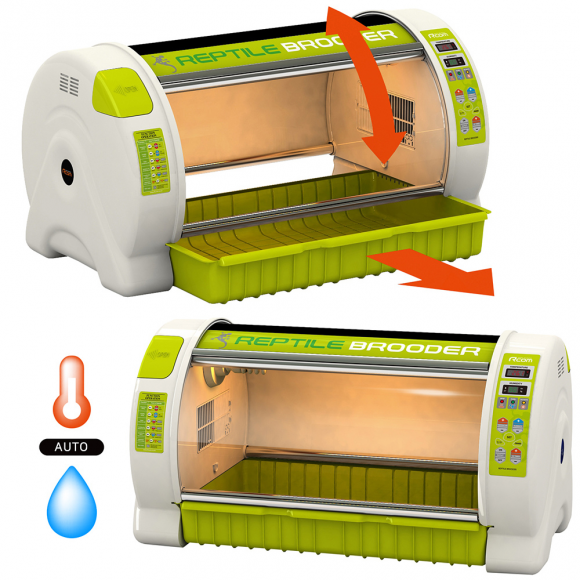Брудер для рептилий Reptile Brooder 90 L Rcom