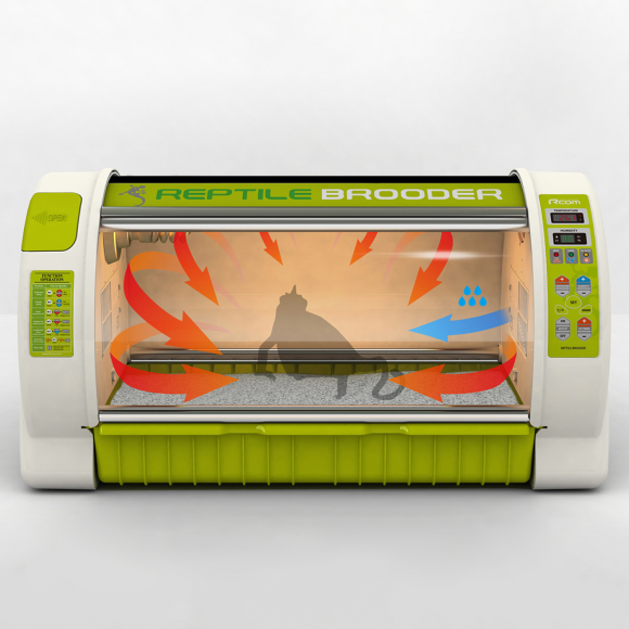 Брудер для рептилий Reptile Brooder 90 L Rcom