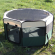 Вольер-тент "Манеж", 92×92×43 см, зеленый, Triol DCC1048 Medium (арт. 30711015) Вольер-тент "Манеж", 92×92×43 см, зеленый, Triol DCC1048 Medium (арт. 30711015)