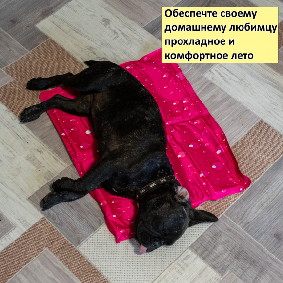 Охлаждающая подстилка для собак Fresk S, размер 50 х 40 см, красная, Flamingo FL520362 Охлаждающая подстилка для собак Fresk S, размер 50 х 40 см, красная, Flamingo FL520362