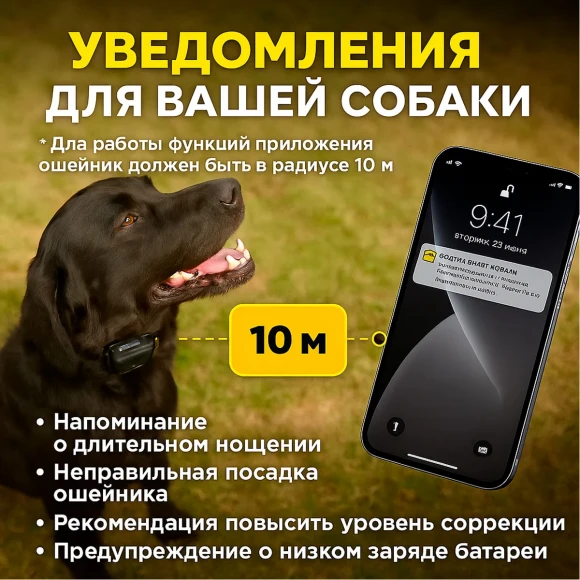 Dogtra Smart NoBark — умный антилай-ошейник для собак
