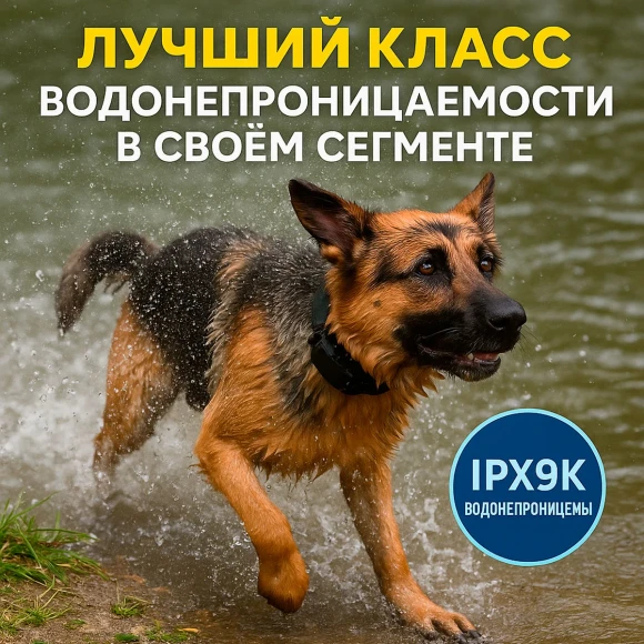 Dogtra Smart NoBark — умный антилай-ошейник для собак