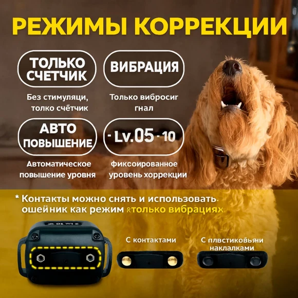 Dogtra Smart NoBark — умный антилай-ошейник для собак