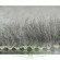 Гигиеническая подстилка для собак, 75 × 50 см, Trixie 28510