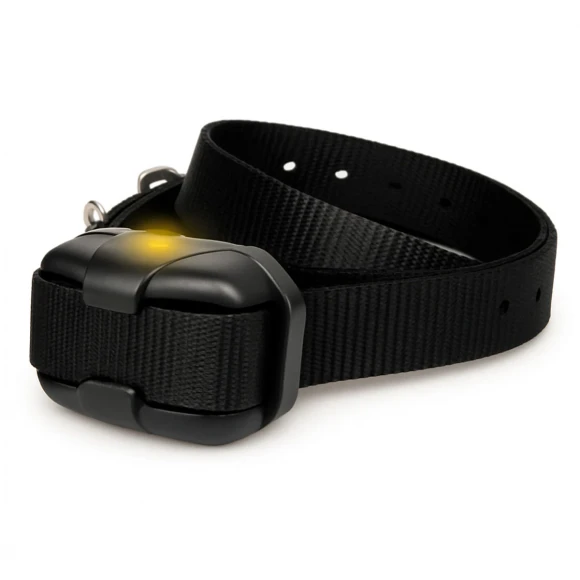 Dogtra Additional Receiver 640X / 642X / 280X — дополнительный приёмник с LED 1000 LUX и вибрацией XPP Dogtra Additional Receiver 640X / 642X / 280X — дополнительный приёмник с LED 1000 LUX и вибрацией XPP