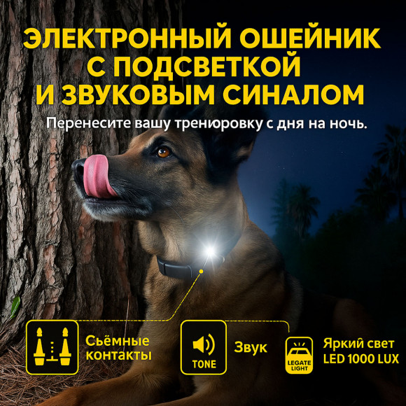 Dogtra Additional Receiver 640X / 642X / 280X — дополнительный приёмник с LED 1000 LUX и вибрацией XPP Dogtra Additional Receiver 640X / 642X / 280X — дополнительный приёмник с LED 1000 LUX и вибрацией XPP