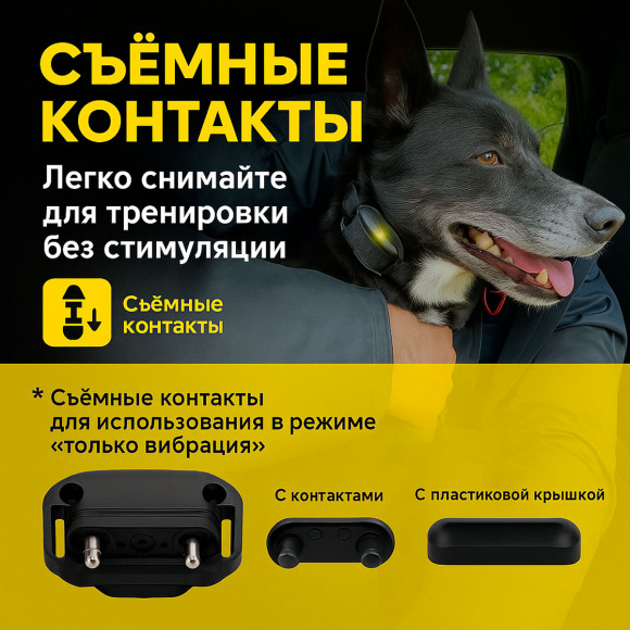 Dogtra Additional Receiver 640X / 642X / 280X — дополнительный приёмник с LED 1000 LUX и вибрацией XPP Dogtra Additional Receiver 640X / 642X / 280X — дополнительный приёмник с LED 1000 LUX и вибрацией XPP