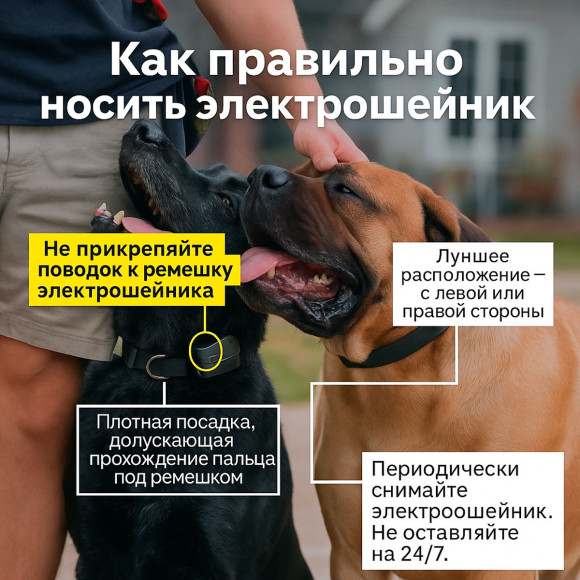 Dogtra Additional Receiver 640X / 642X / 280X — дополнительный приёмник с LED 1000 LUX и вибрацией XPP Dogtra Additional Receiver 640X / 642X / 280X — дополнительный приёмник с LED 1000 LUX и вибрацией XPP