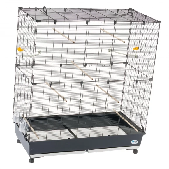 Клетка Planeta Large для мелких птиц, Ferplast 52066917