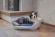 Лежак для собак Siesta Deluxe 10, пластиковый, чёрный, Ferplast  70210917
