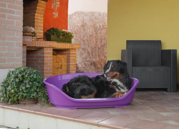 Лежак для собак Siesta Deluxe 12, пластиковый, чёрный, Ferplast 70212917