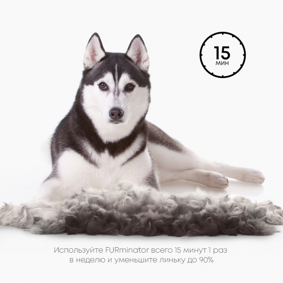 Фурминатор L для крупных собак с короткой шерстью, FURminator 151173 Фурминатор L для крупных собак с короткой шерстью, FURminator 151173