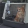Универсальная поилка Drinky Dog для переносок, 0.6 л, Ferplast 71981099 Универсальная поилка Drinky Dog для переносок, 0.6 л, Ferplast 71981099