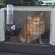 Универсальная поилка Drinky Dog для переносок, 0.6 л, Ferplast 71981099 Универсальная поилка Drinky Dog для переносок, 0.6 л, Ferplast 71981099